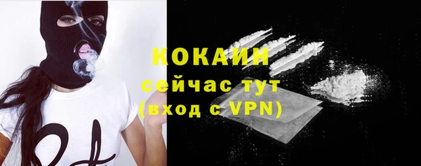 молекула духа Няндома