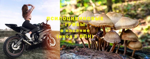 кокс Белоозёрский