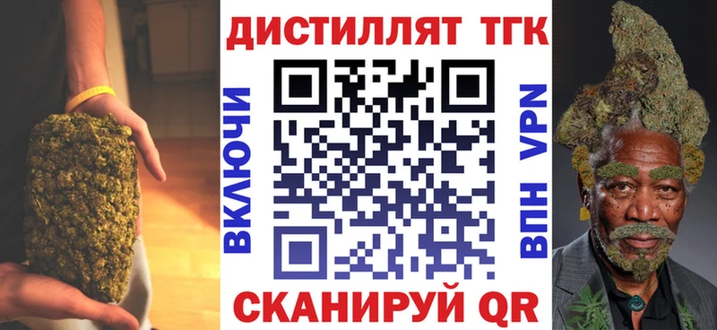 Купить где  Весьегонск  ТГК концентрат 