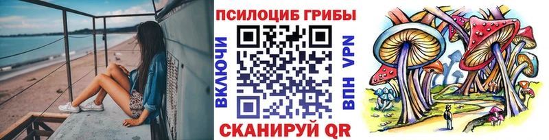 Галлюциногенные грибы Psilocybine cubensis  Купить где  Весьегонск 